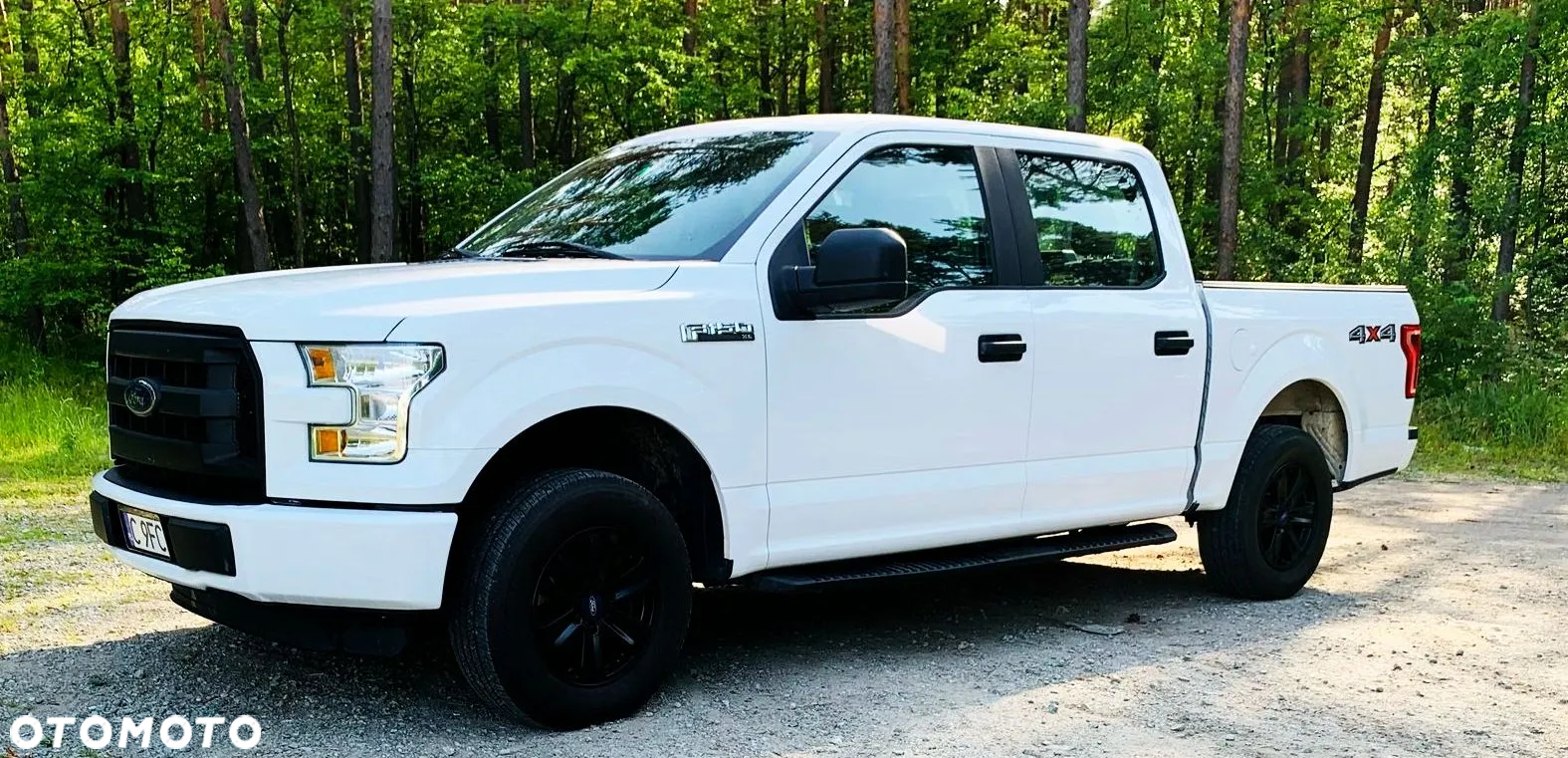 Ford F150 - 5