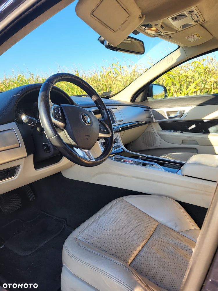 Jaguar XF 3.0 V6 Kompressor AWD - 21