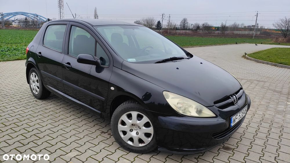 Peugeot 307 1.6 XS - 4