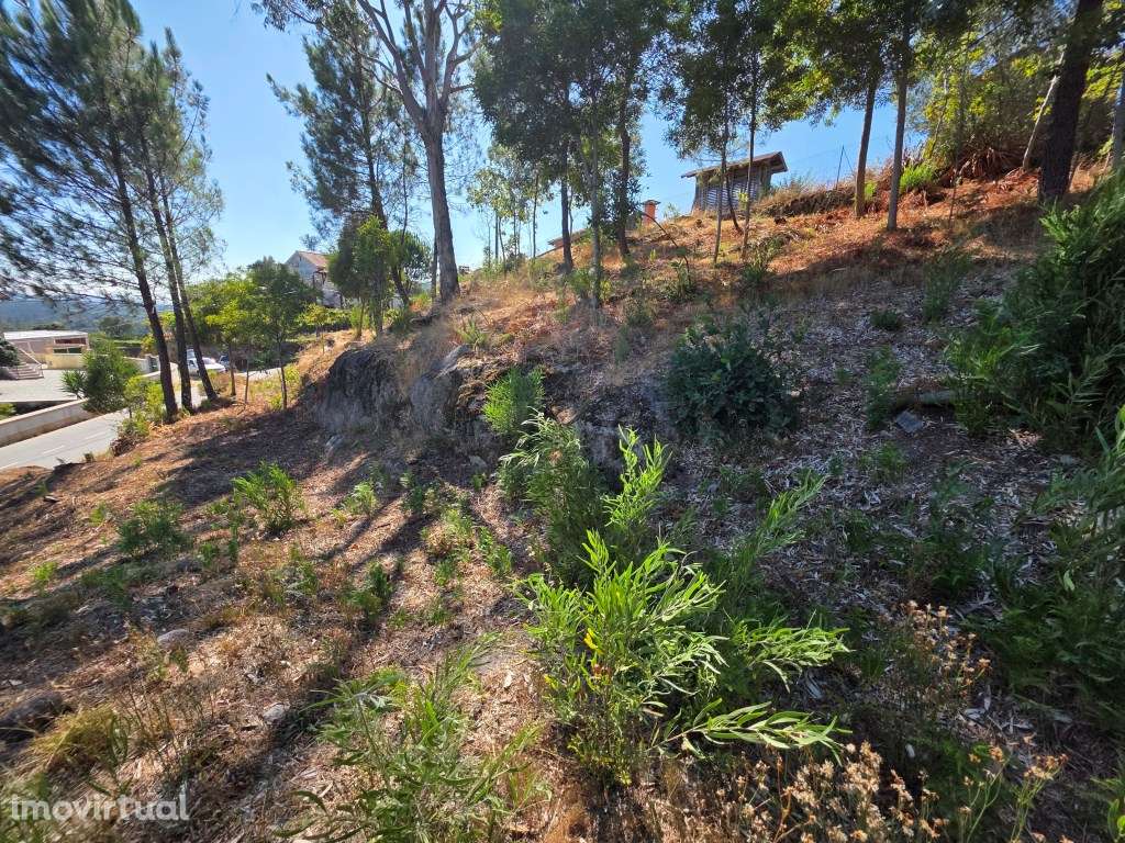 Terreno para construção, em Moreira do lima - Grande imagem: 5/8