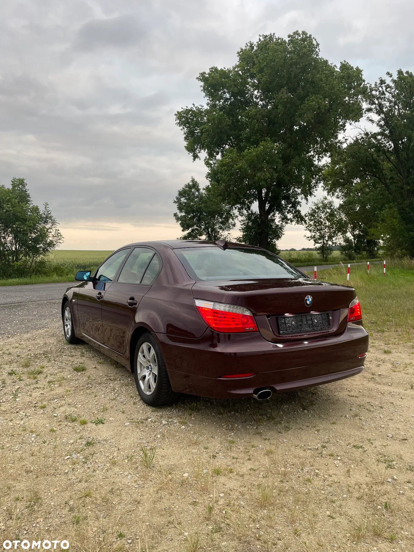 BMW Seria 5 520i - 7