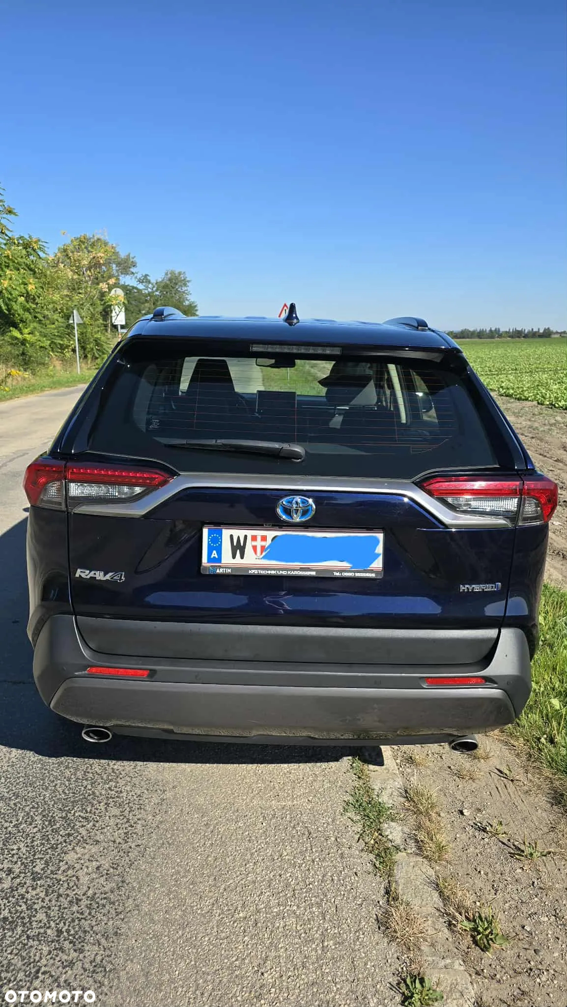 Toyota RAV4 2.5 Hybrid Executive 4x2 - 6