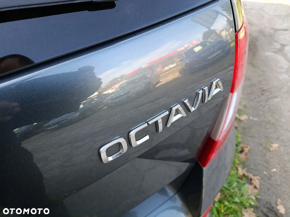 Skoda Octavia - 18