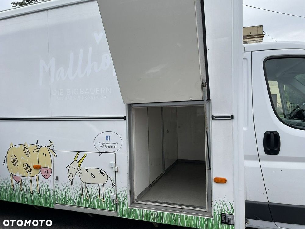Fiat Ducato - 30