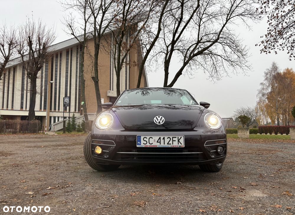 Volkswagen Beetle - 7