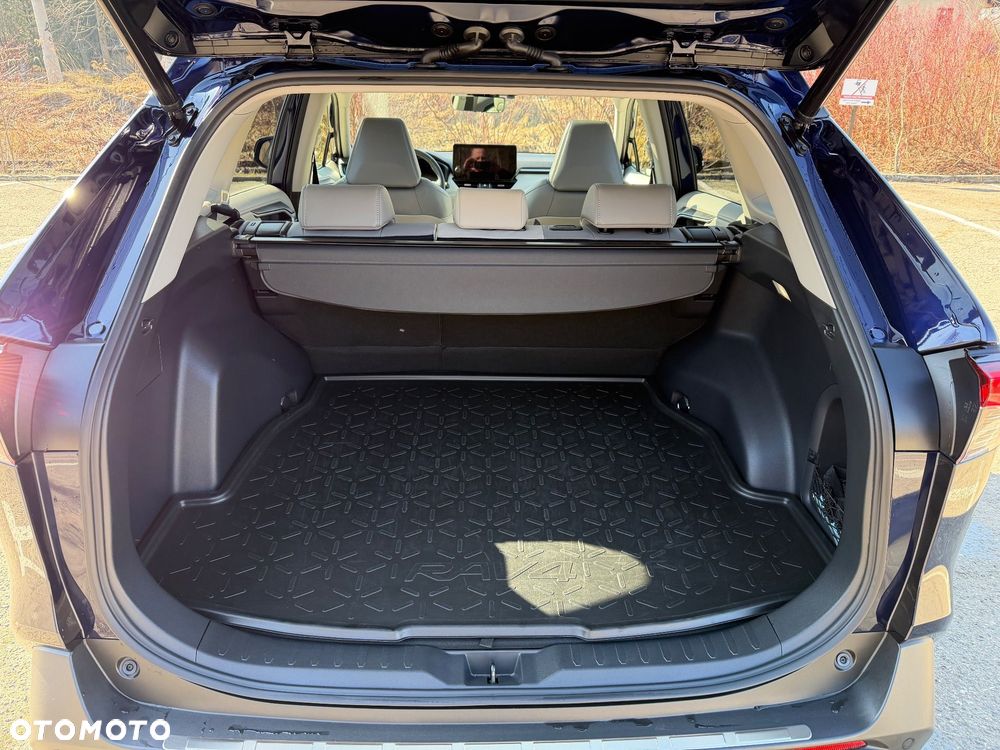 Toyota RAV4 - 19