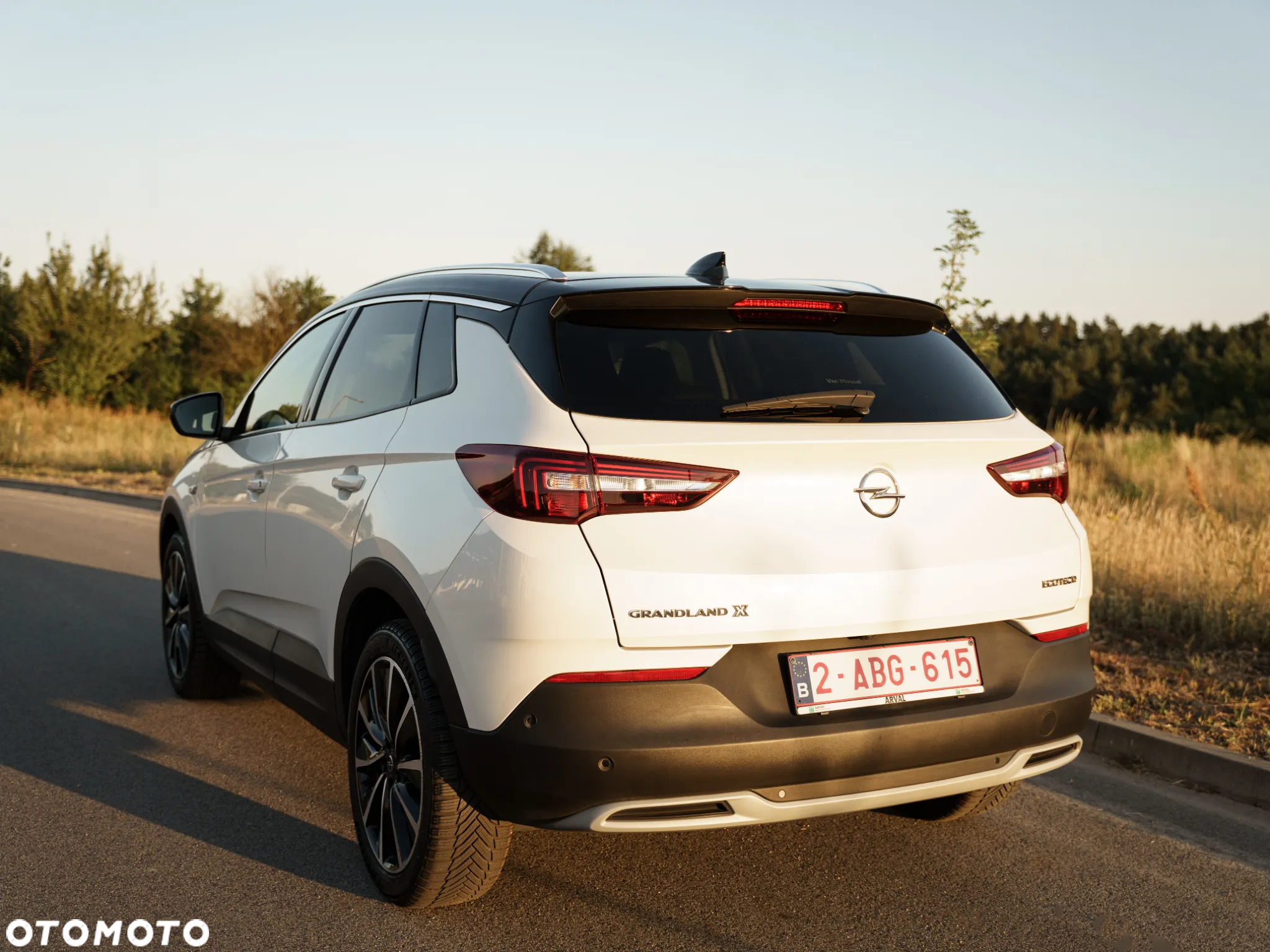 Opel Grandland X 1.5 CDTI Ultimate S&S - 15