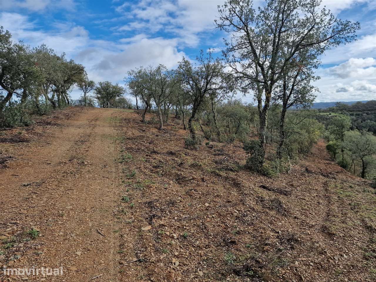 Terreno  Venda em Santa Cruz,Almodôvar - Grande imagem: 3/9