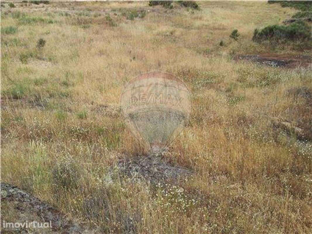 Quinta T0 para venda - Grande imagem: 5/17