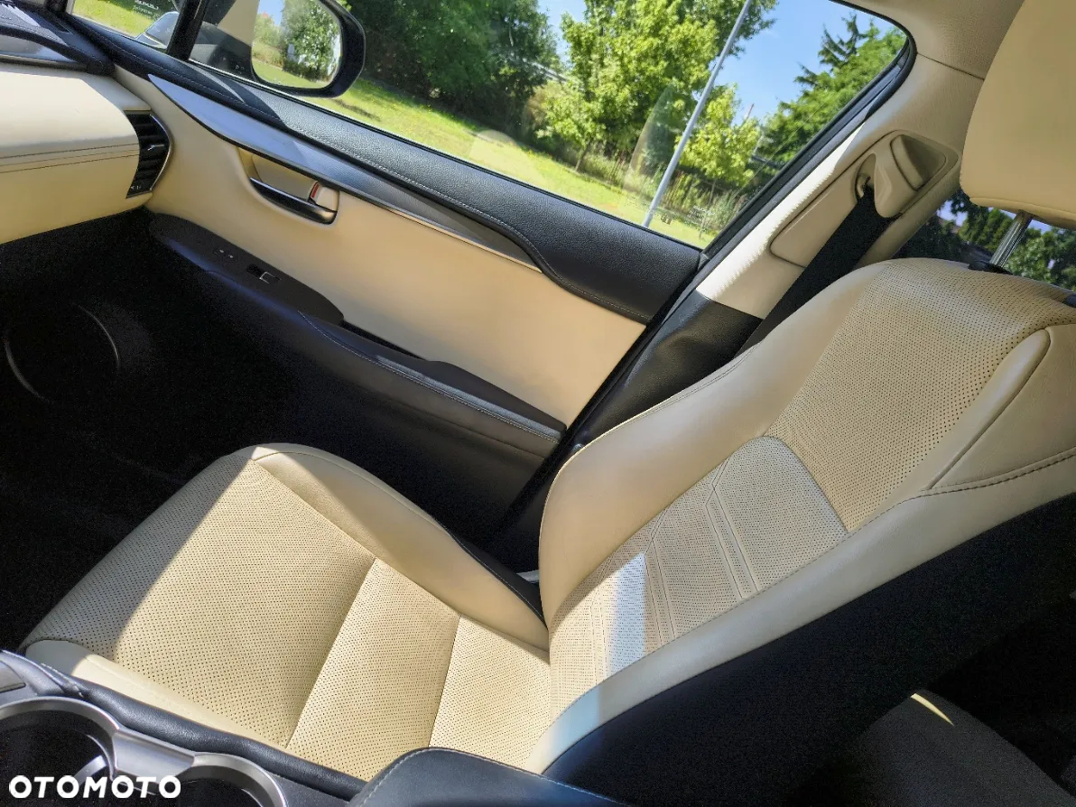Lexus NX - 20