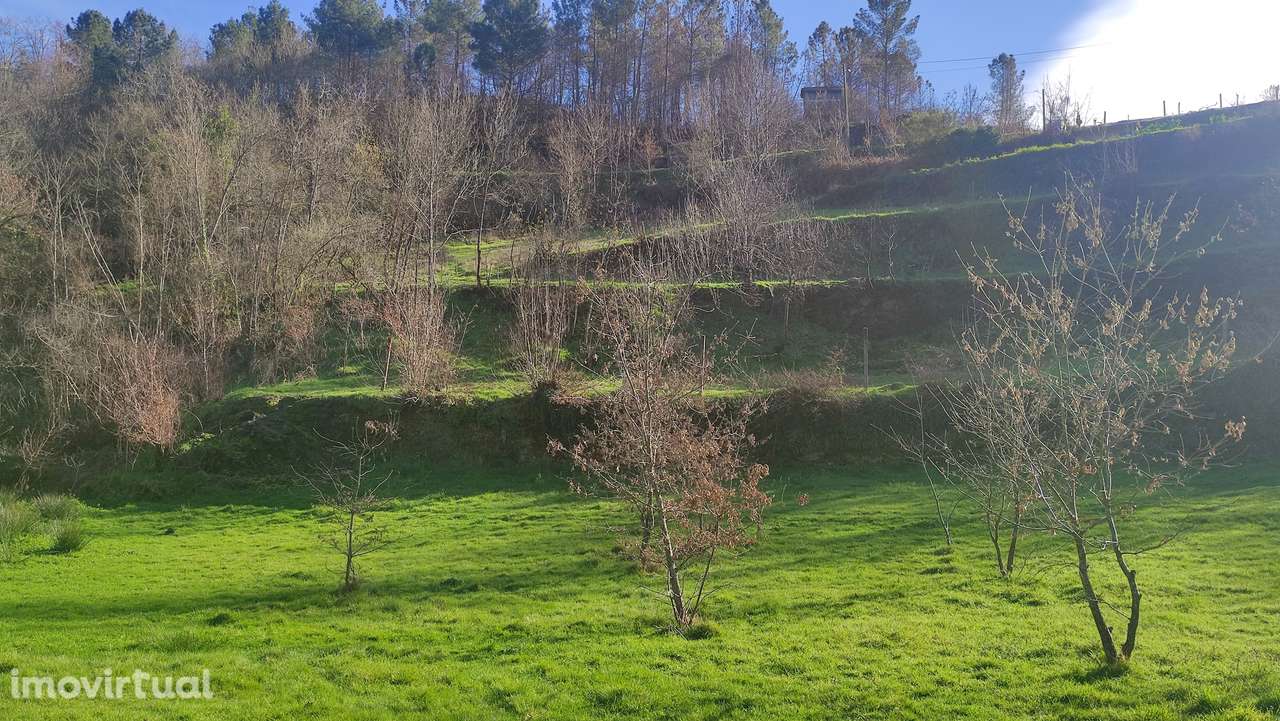 Terreno Rústico  Venda em Loivos do Monte,Baião - Grande imagem: 5/11