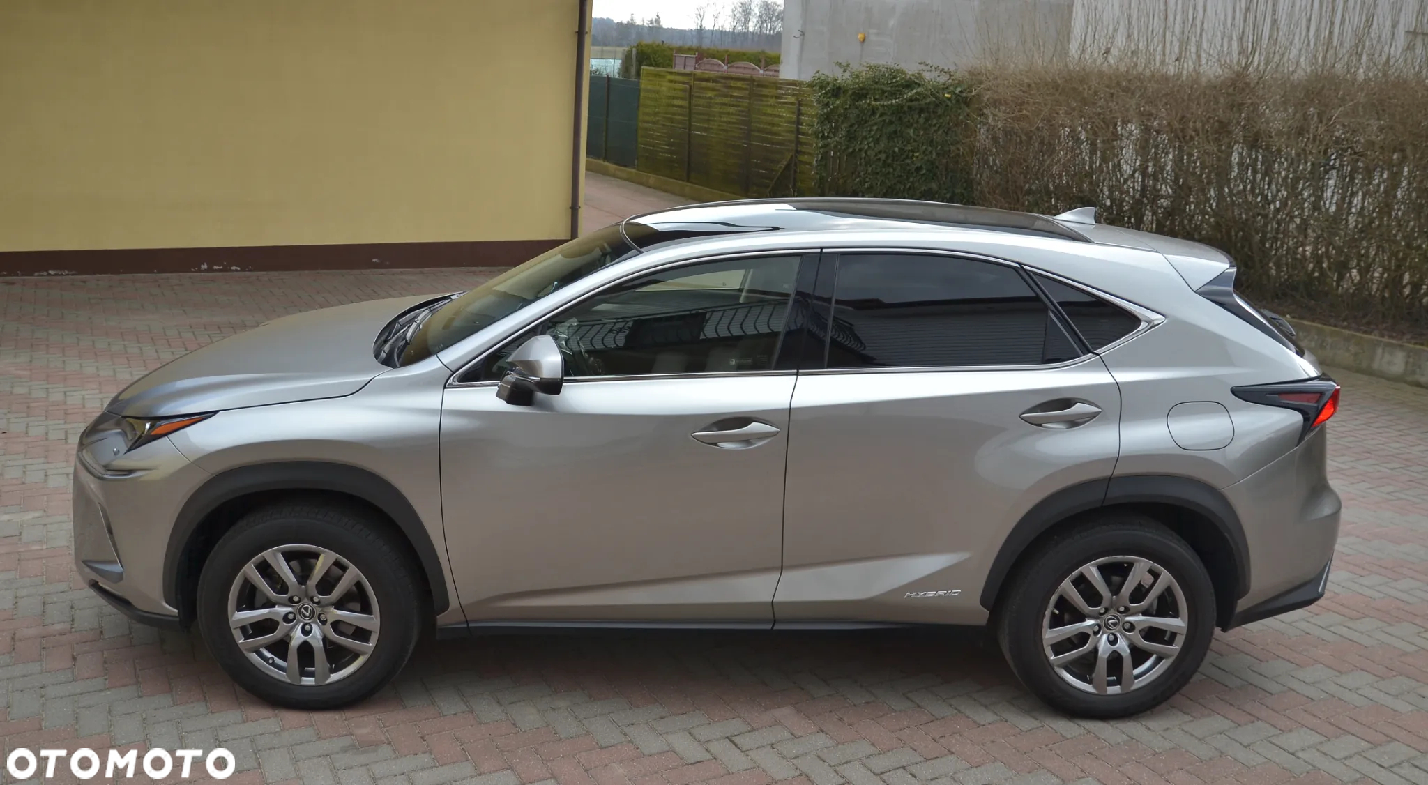Lexus NX 350h Prestige AWD - 8