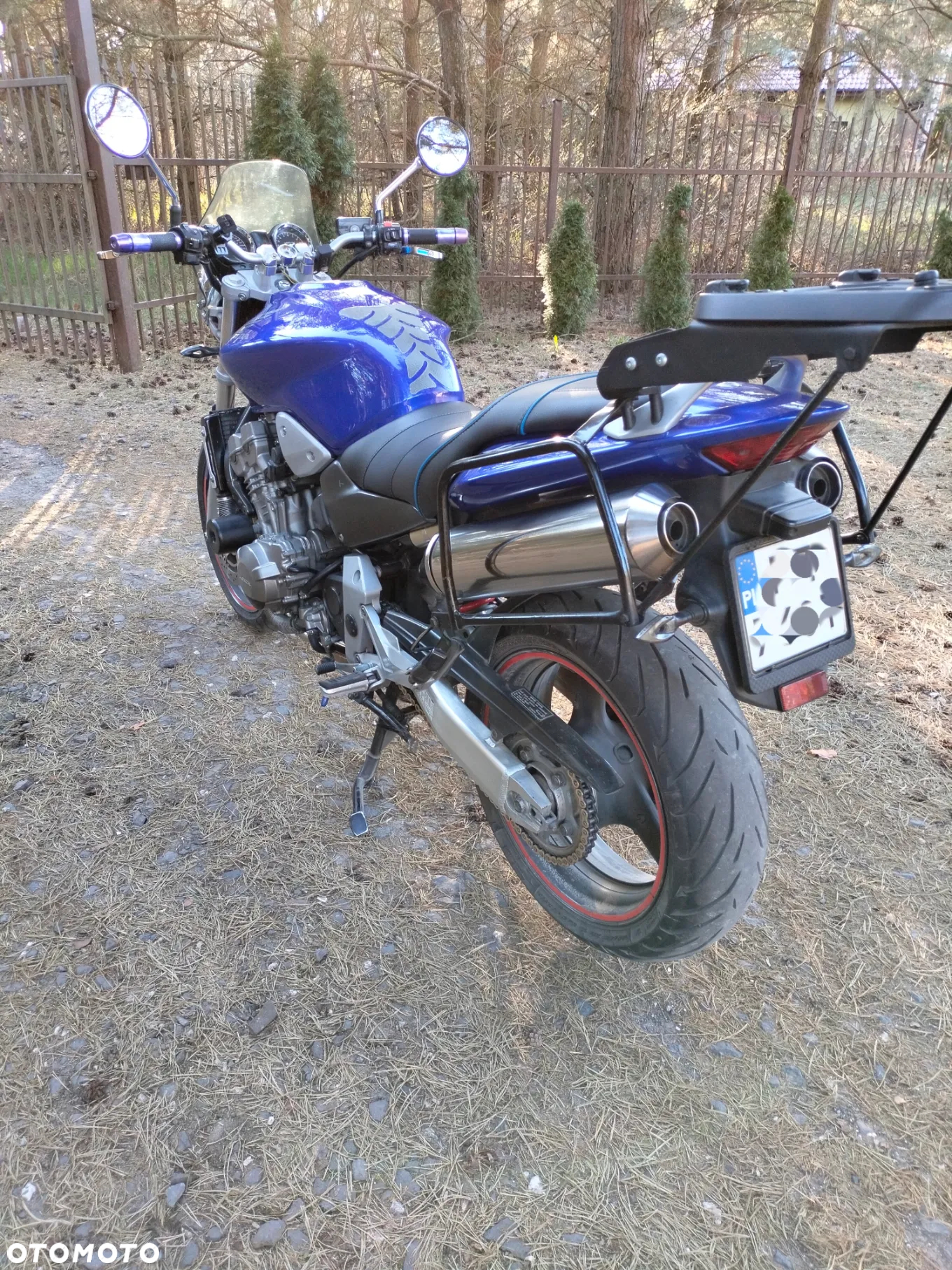 Honda Hornet - 10
