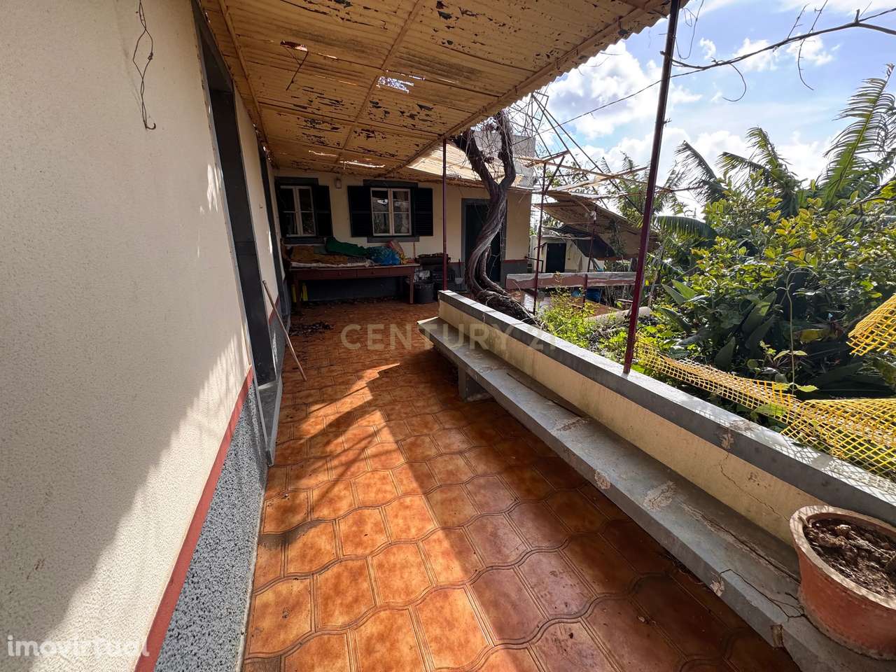 Terreno Amplo com Moradia Tradicional e Palheiro - Ponta do Sol - Grande imagem: 5/19