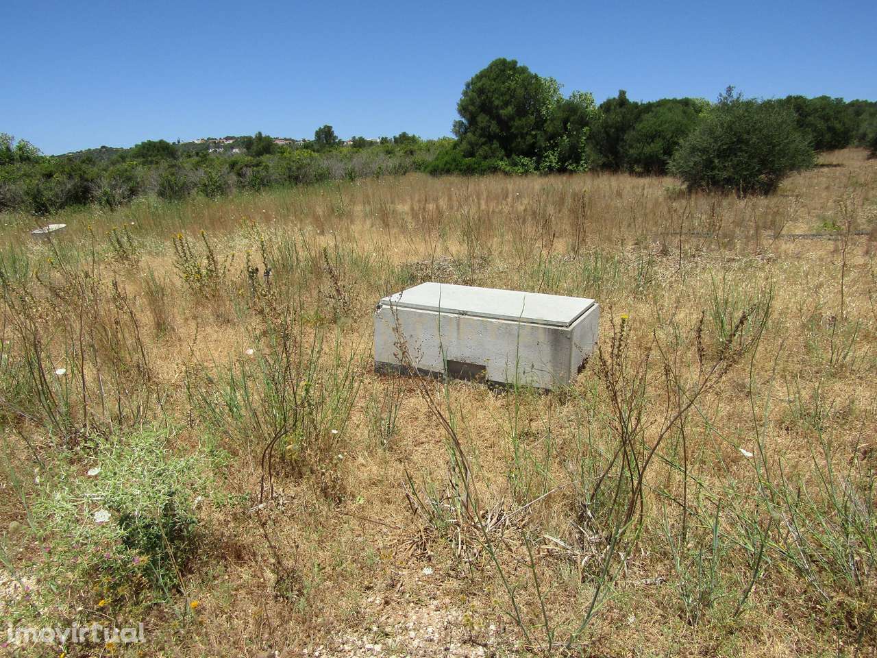Terreno Rústico - Grande imagem: 3/8