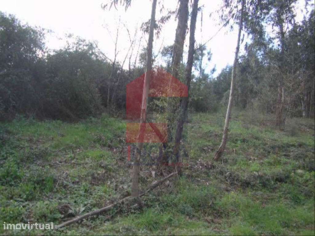 Vende-se Terreno, Moure - Grande imagem: 2/5
