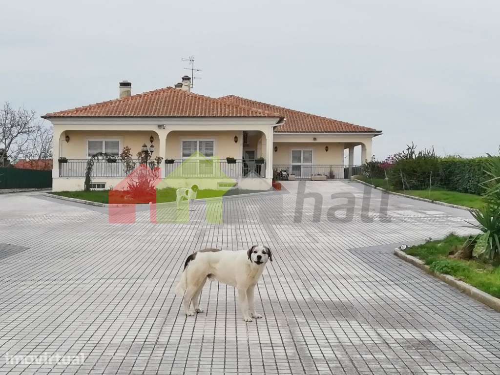 Exclusiva Quinta T5 às Portas de Palmela: Junto ao Golfe do Montado - Grande imagem: 5/58