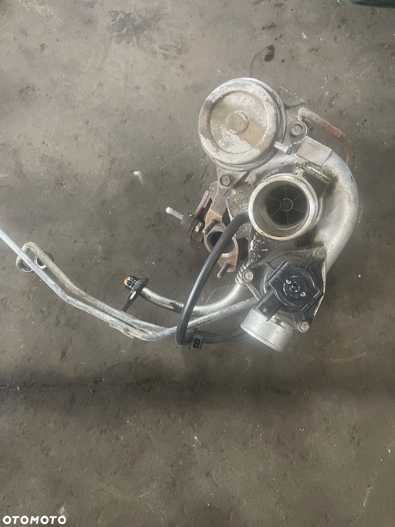 OPEL VECTRA C SIGNUM 2.8 TURBO 55557012 - 2