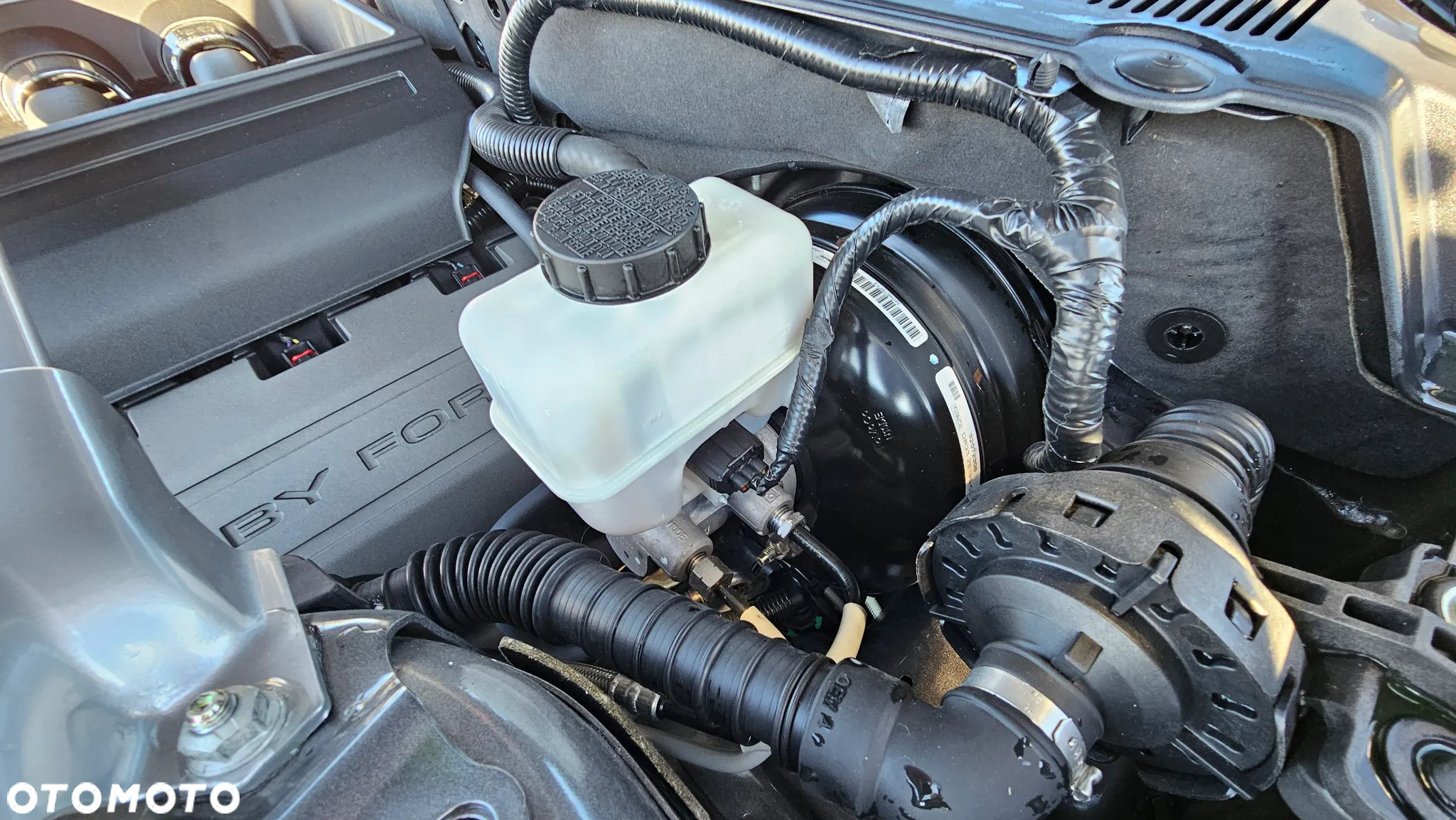 Ford Mustang 5.0 Ti-VCT V8 GT - 24