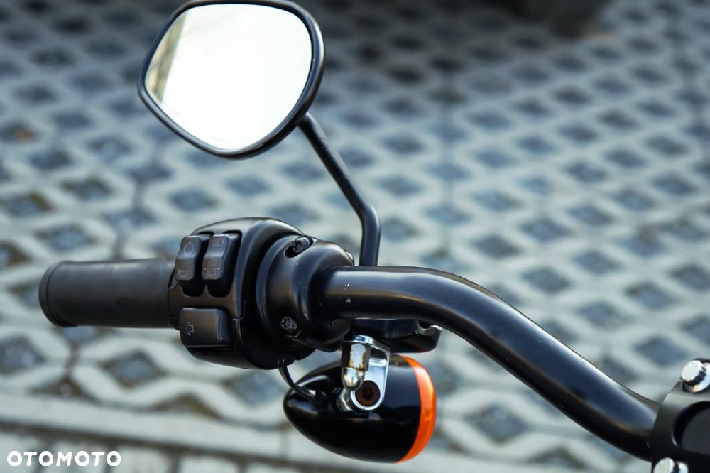 Harley-Davidson Inny - 19