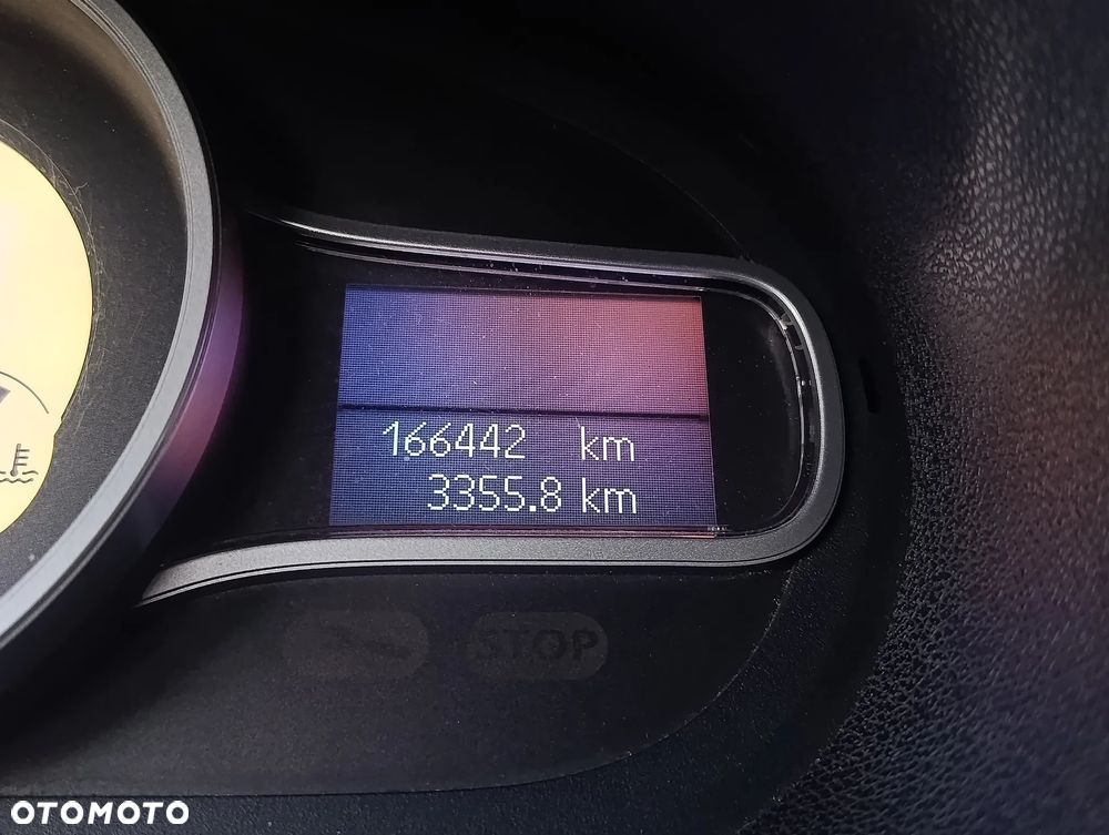 Renault Megane - 21