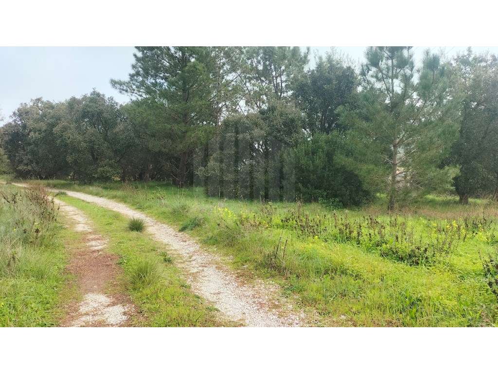 Terreno em Sesimbra, Castelo - Oportunidade de Investimento - Grande imagem: 2/4