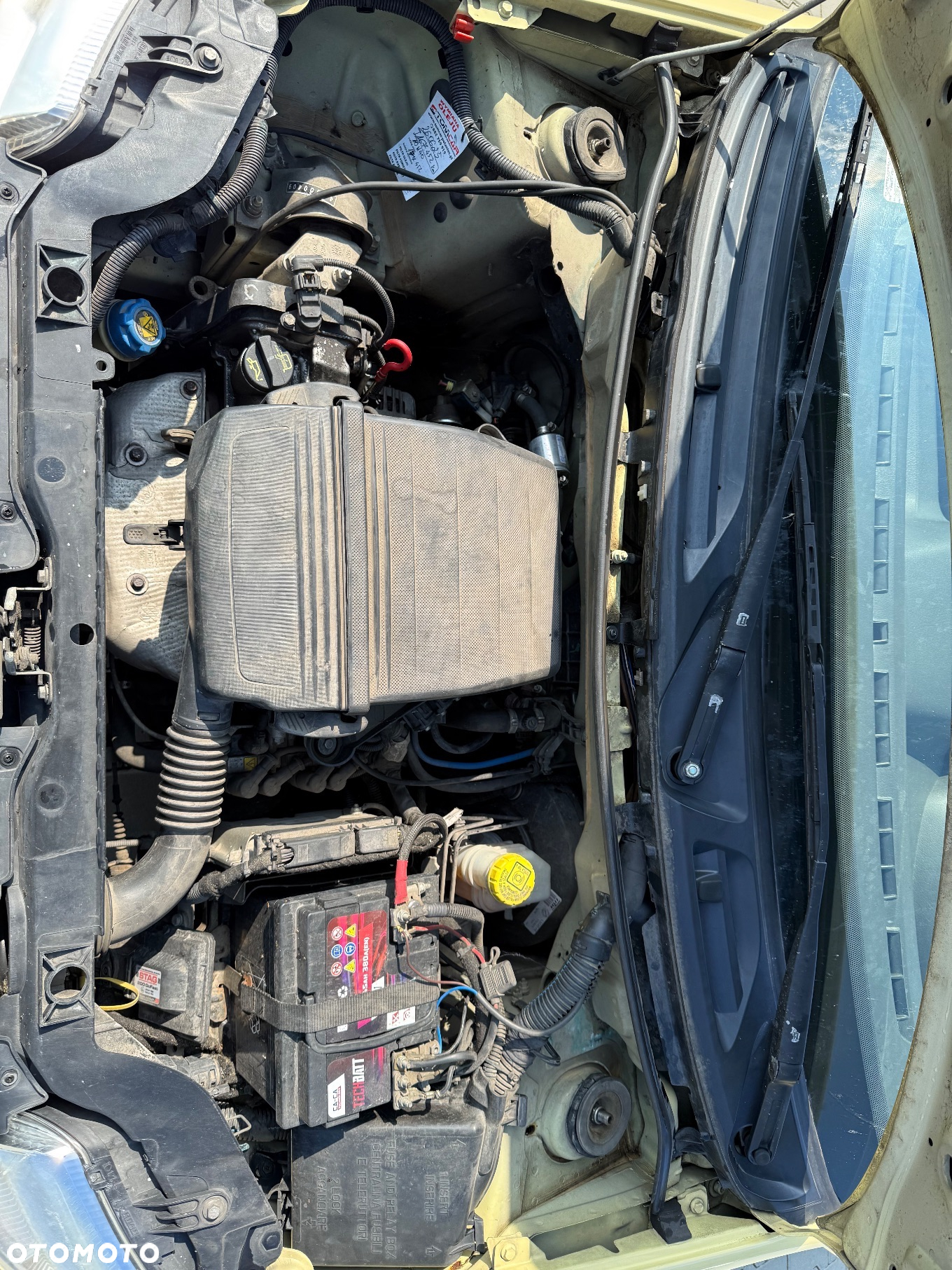 Fiat Panda 1.1 Fresh - 18