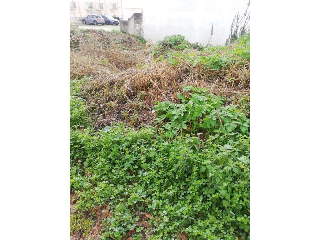 Terreno para construção de 2 moradias T3 geminadas - Quinta das Lág... - Grande imagem: 4/5