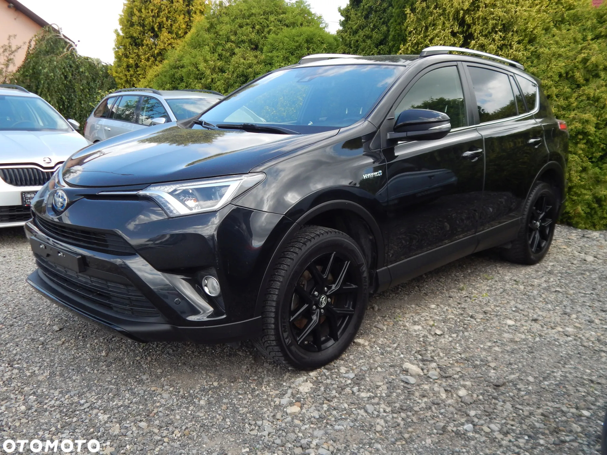 Toyota RAV4 Hybrid Platinum 4x4 - 3