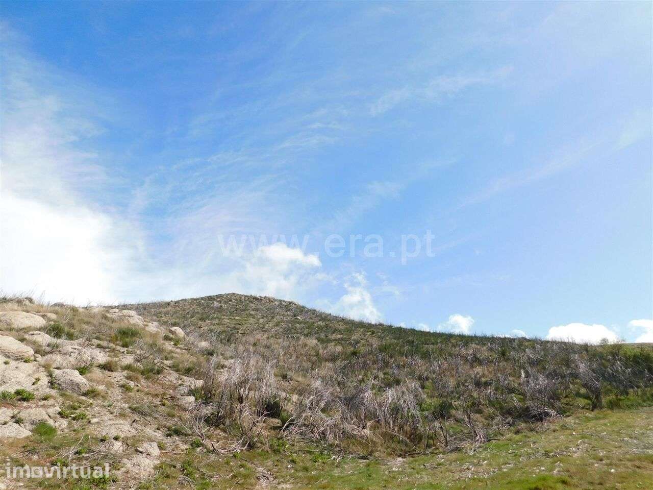 Terreno / Seia, Seia - Grande imagem: 4/4
