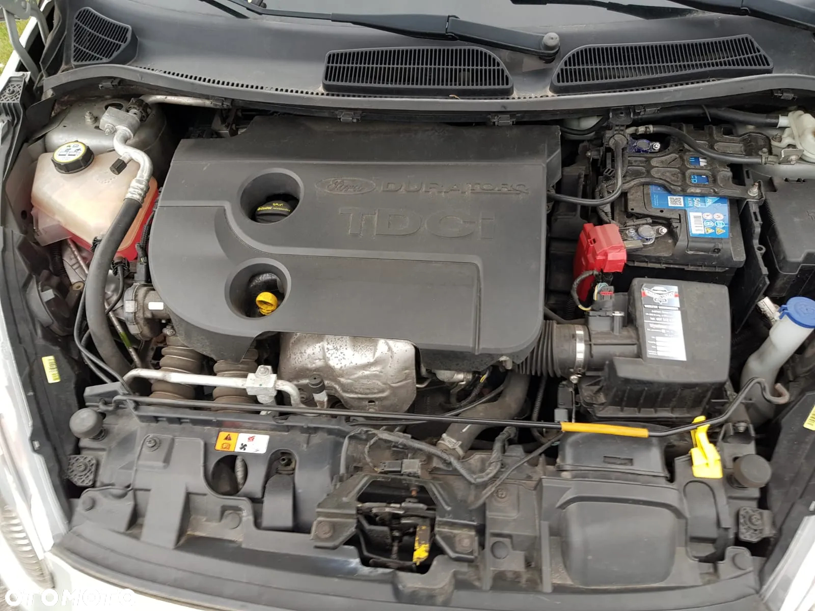 Ford Fiesta - 10