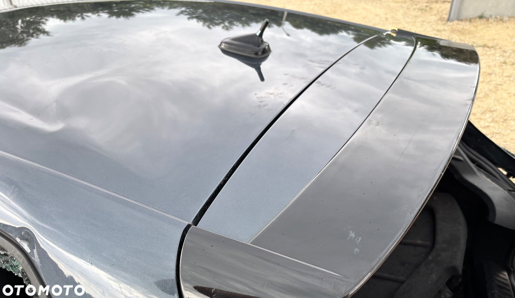 Seat Ibiza 1.0 TSI S&S DSG FR Pro Black Edition - 23