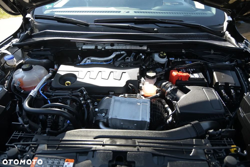 Ford Kuga 2.0 EcoBlue Hybrid ST-LINE - 31