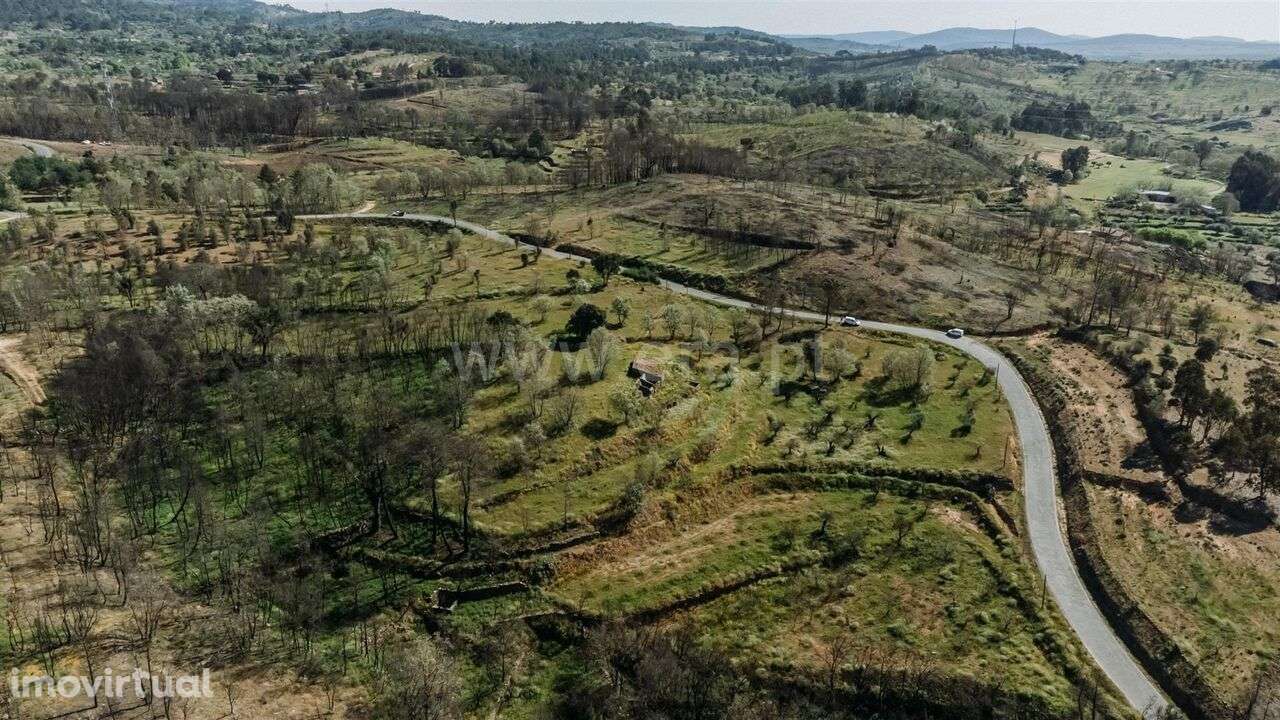 Terreno Rústico / Fundão, Pêro Viseu - Grande imagem: 3/16