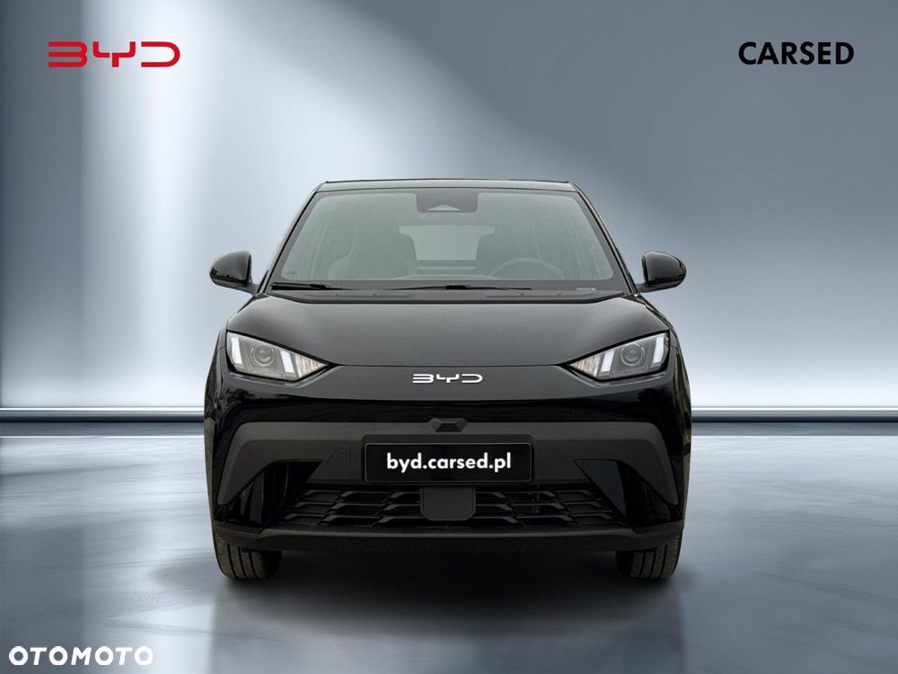 BYD Dolphin Surf - 8