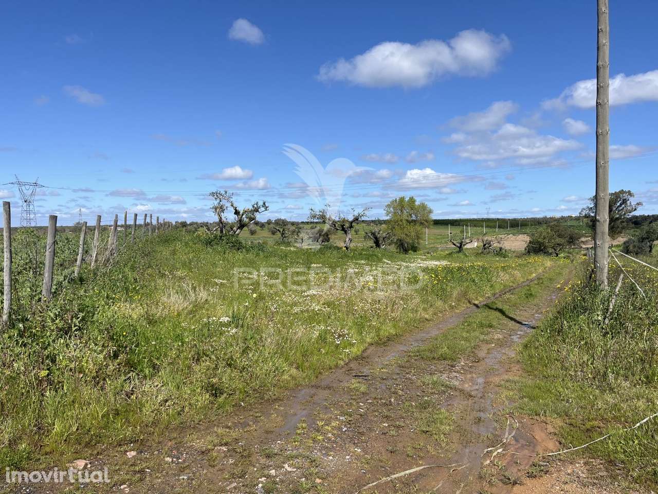 Terreno Rústico de 0,65 Hect - Grande imagem: 3/10