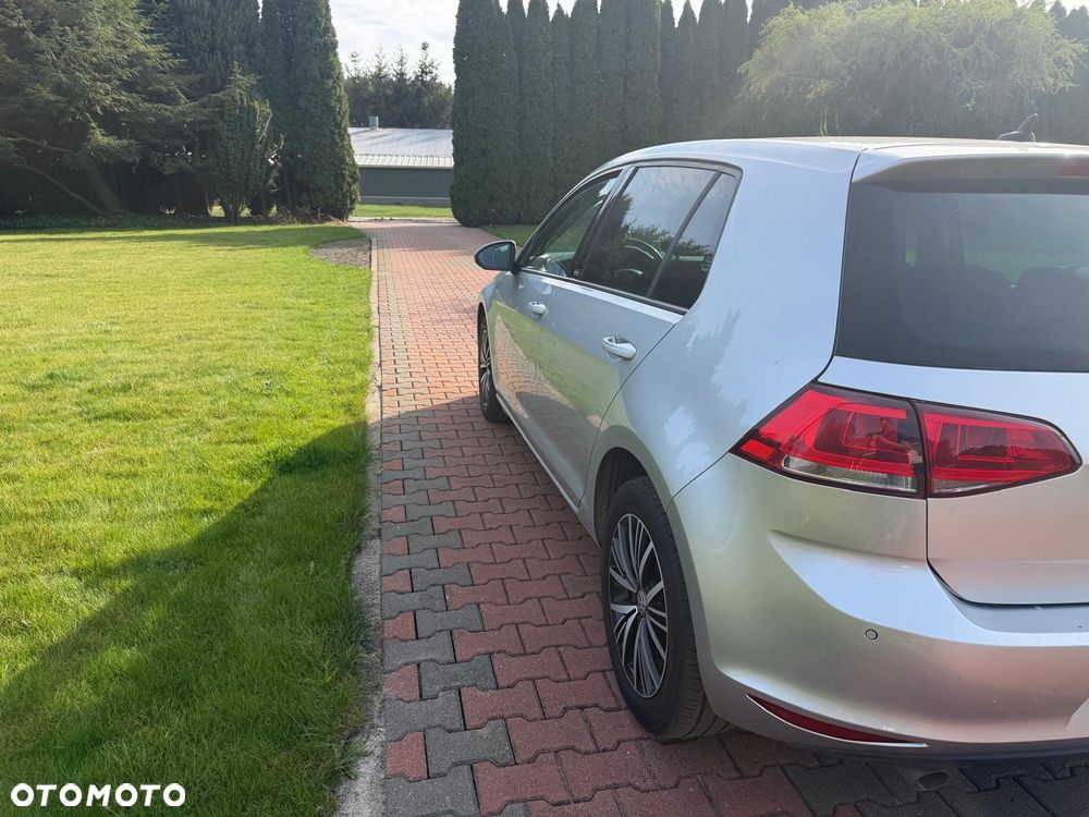 Volkswagen Golf 1.6 TDI BlueMotion Technology Allstar - 2