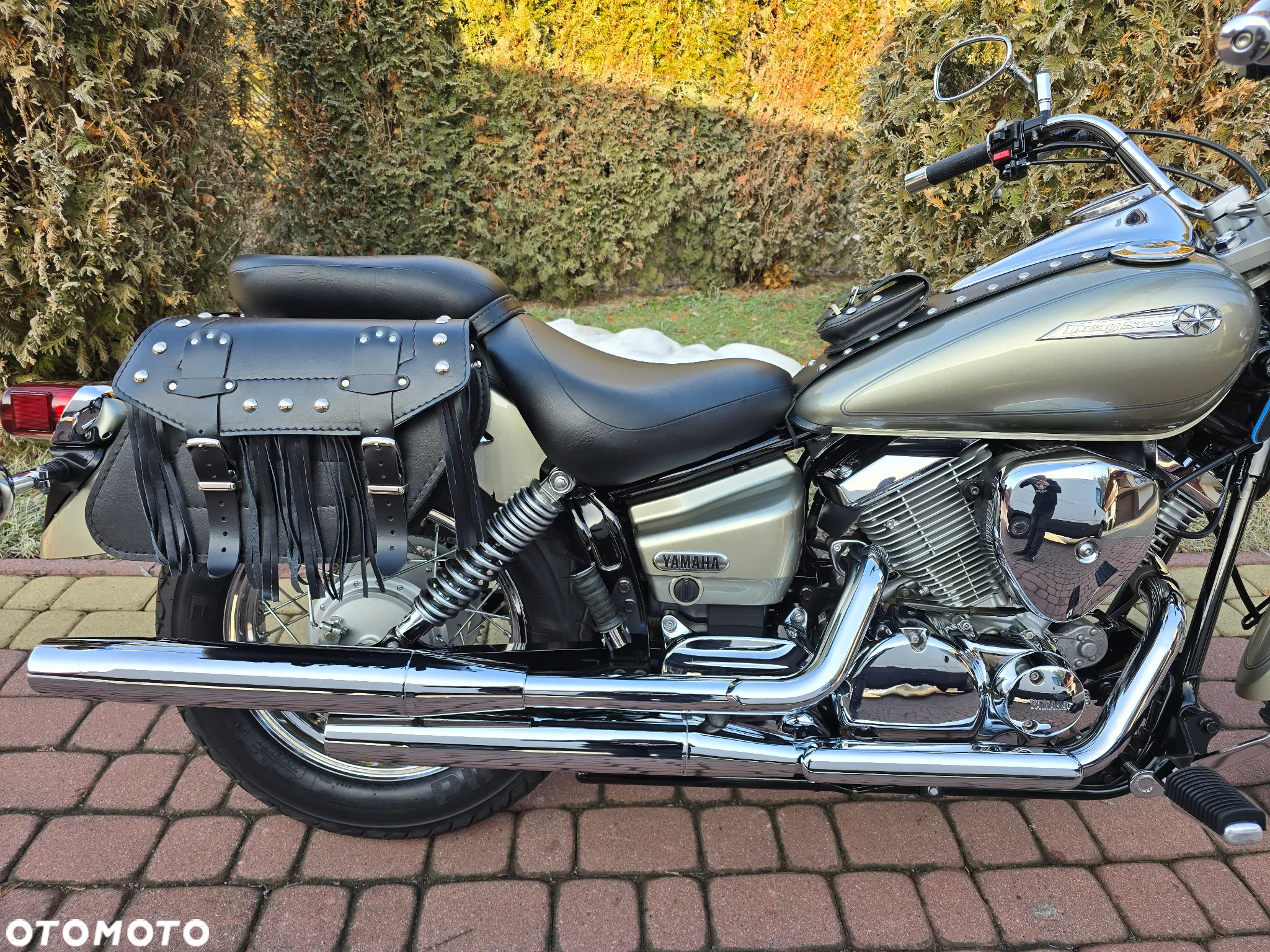 Yamaha XVS - 11