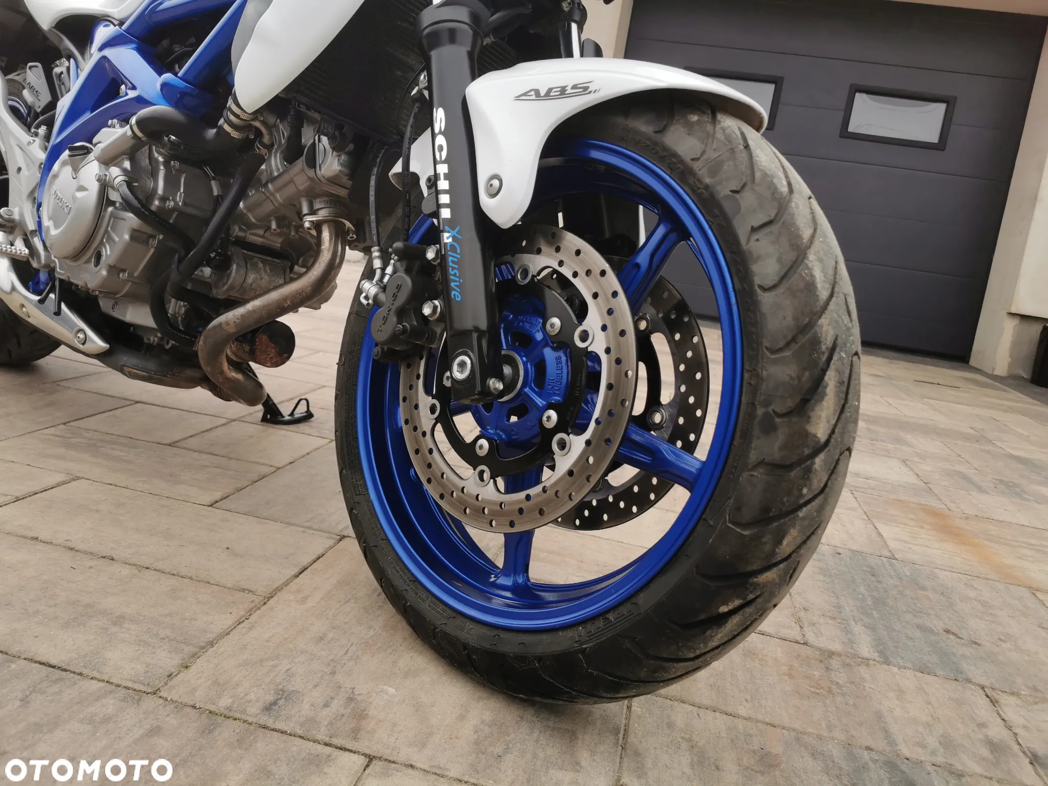 Suzuki Gladius - 22
