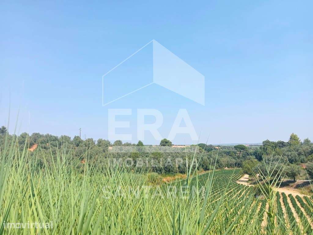 Terreno para Venda - 707 m² - Grande imagem: 2/11