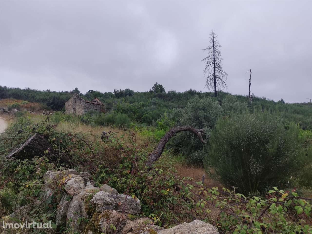 Quintinha para habitação - Grande imagem: 2/9
