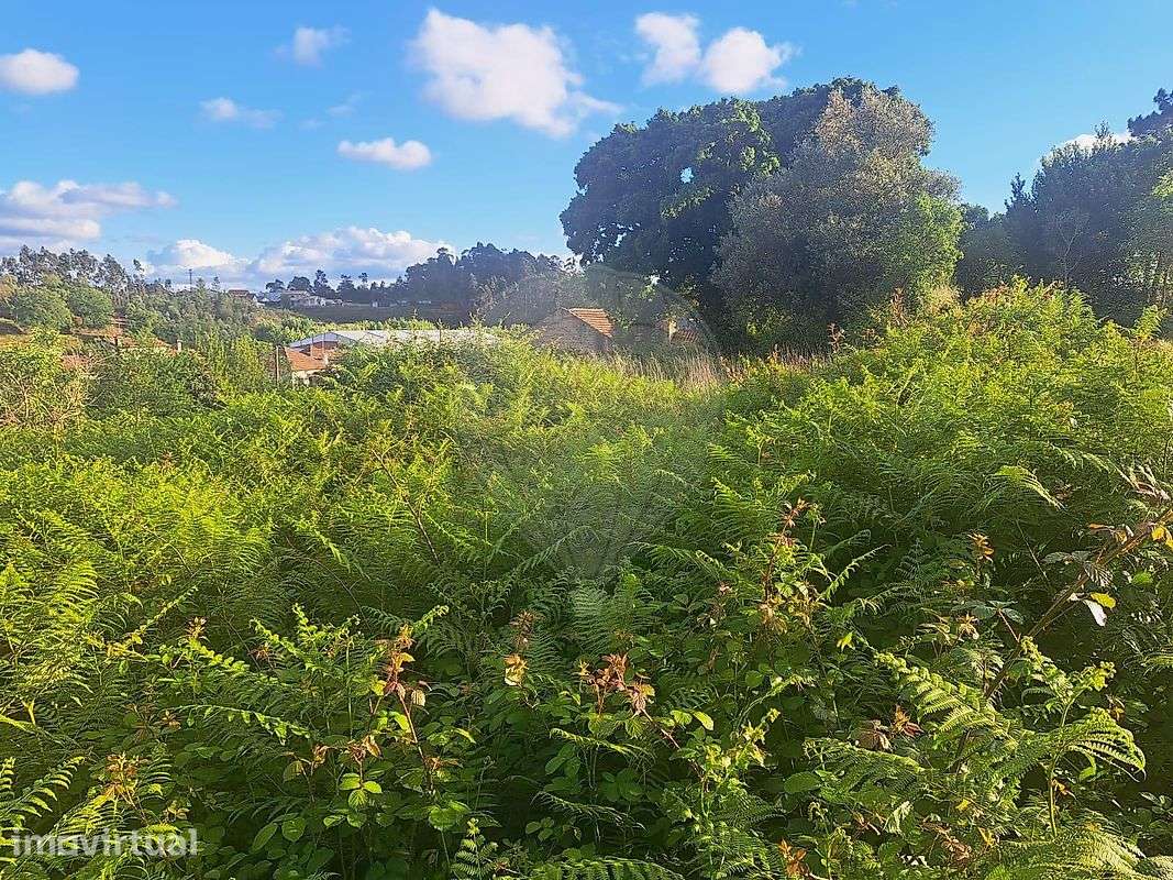 Terreno  para venda - Grande imagem: 2/10
