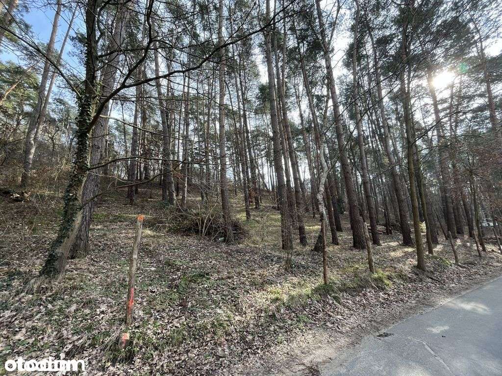 Działka budowlana nad jeziorem Chrzypsko Wielkie - Pełny obrazek: 5/18