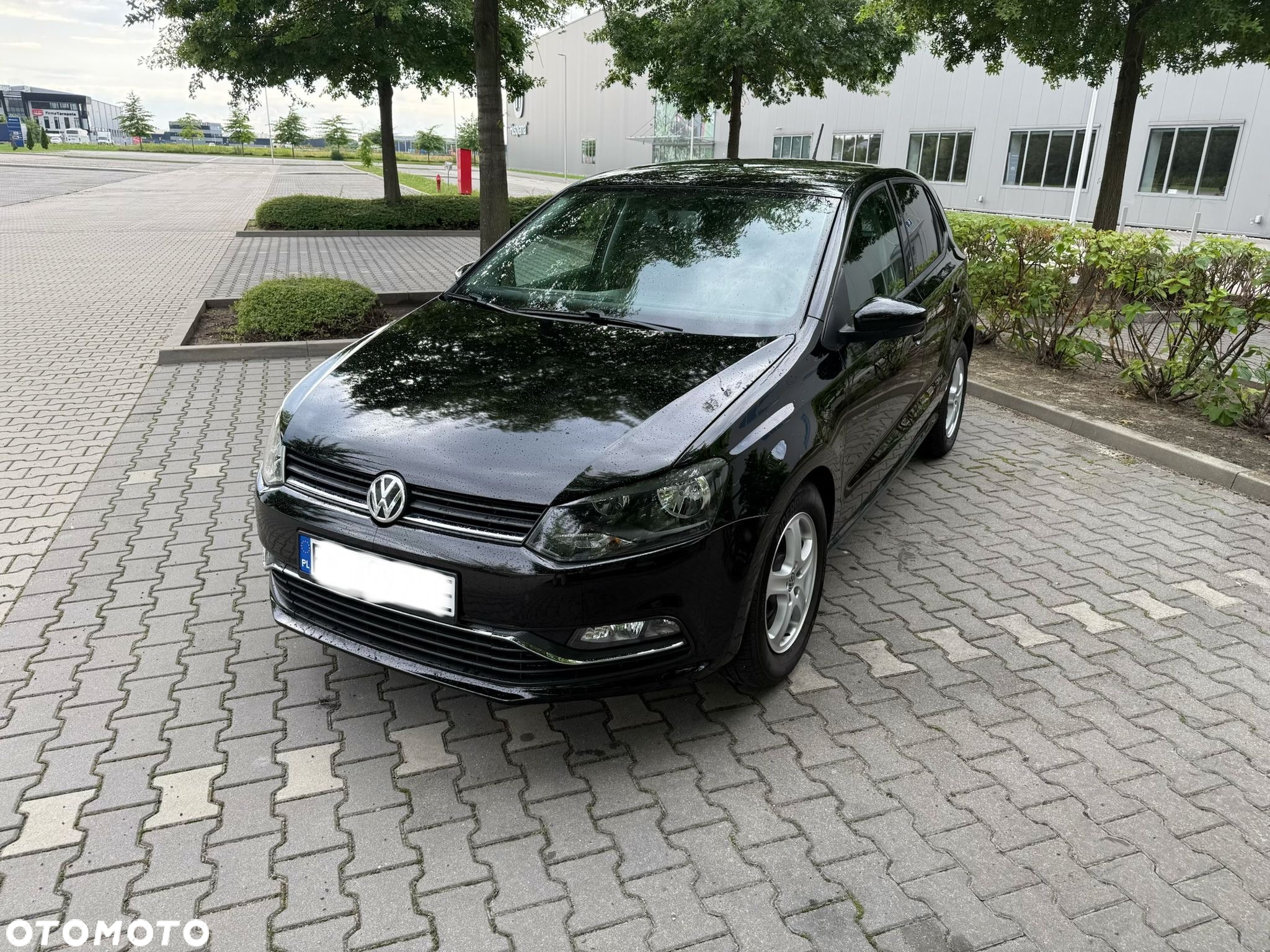 Volkswagen Polo - 6