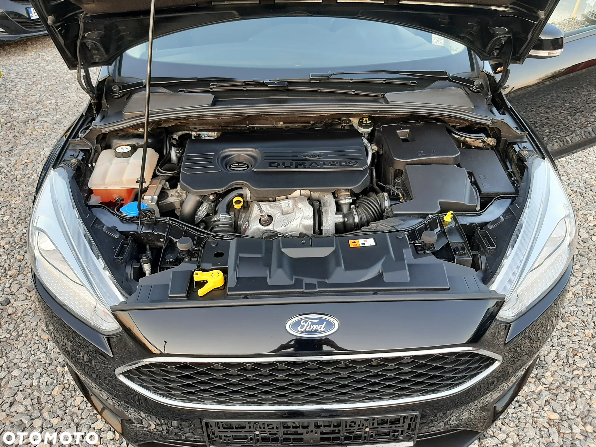 Ford Focus 1.5 EcoBlue Titanium - 21