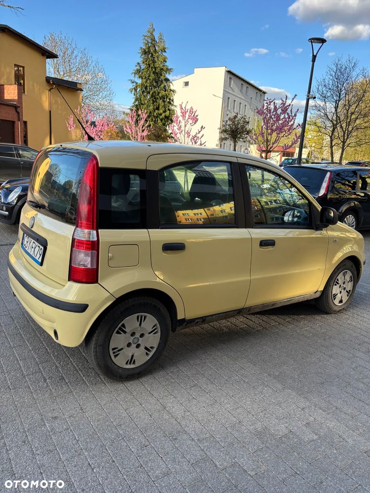 Fiat Panda 1.1 Active Eco - 5