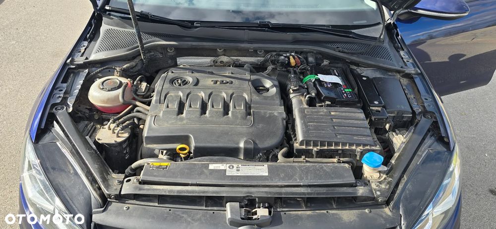 Volkswagen Golf 1.6 TDI BMT Highline - 17