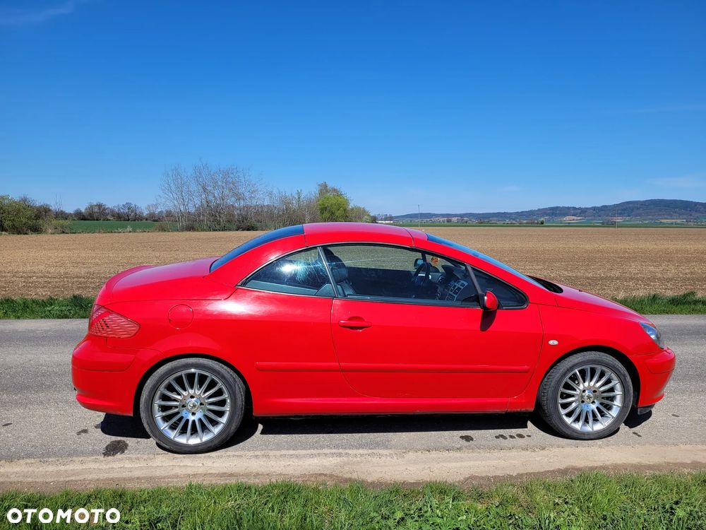 Peugeot 307 CC 2.0 - 8