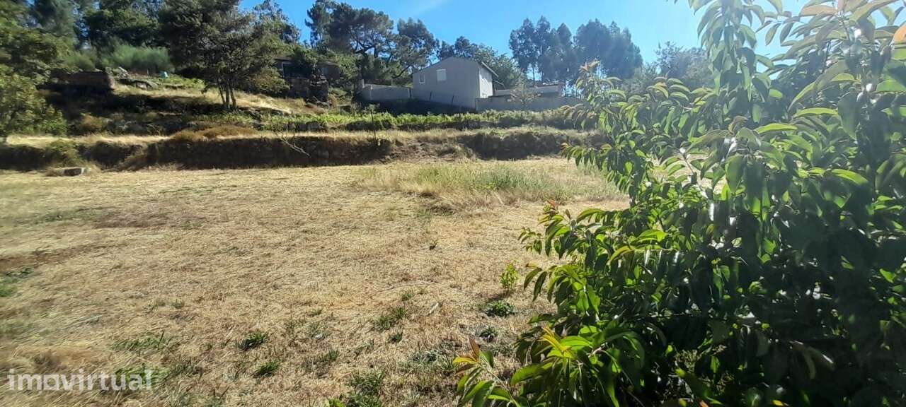 Terreno Rústico para venda em Sever de Vouga - Grande imagem: 4/10