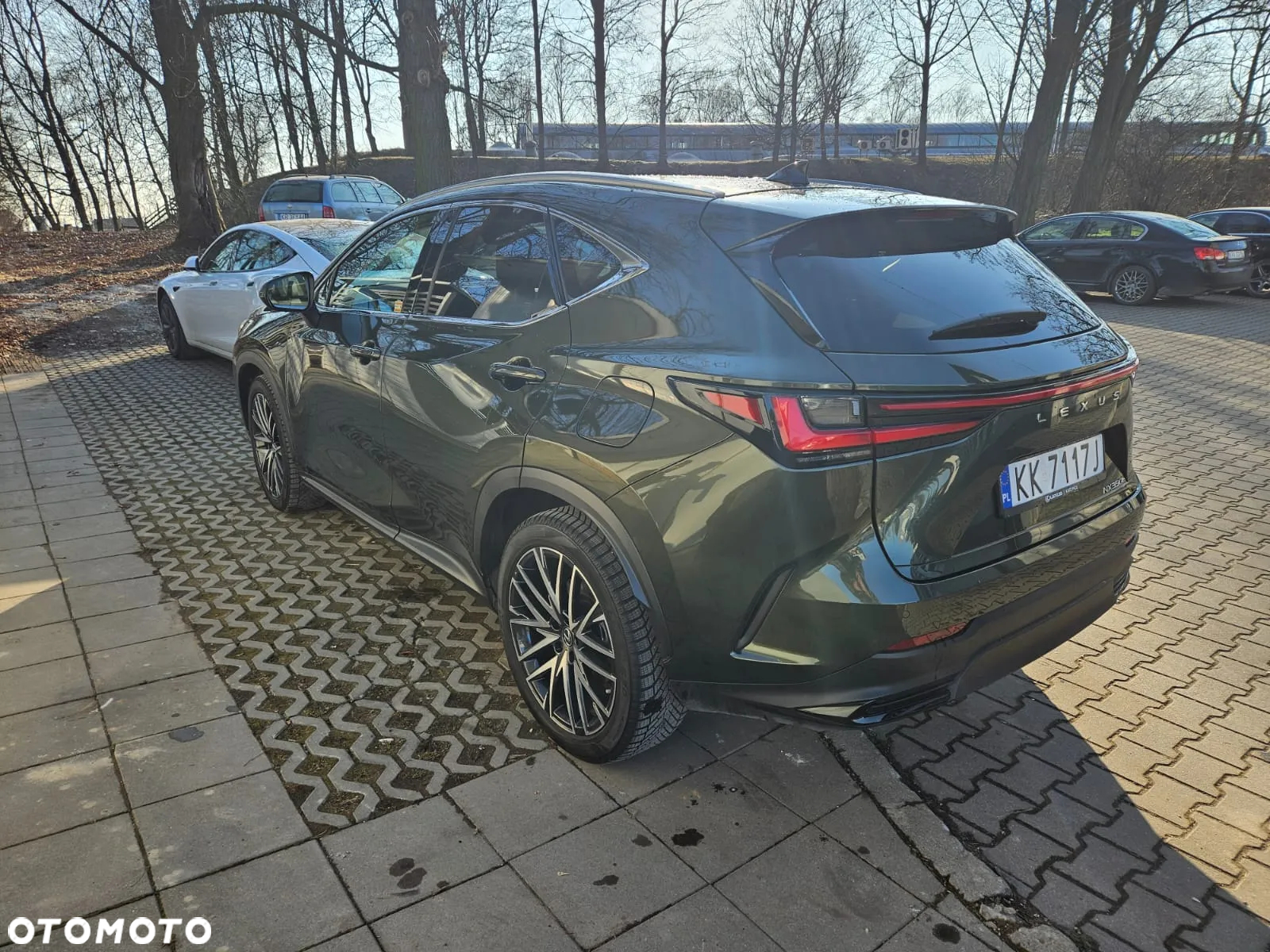 Lexus NX 350h Prestige AWD - 2